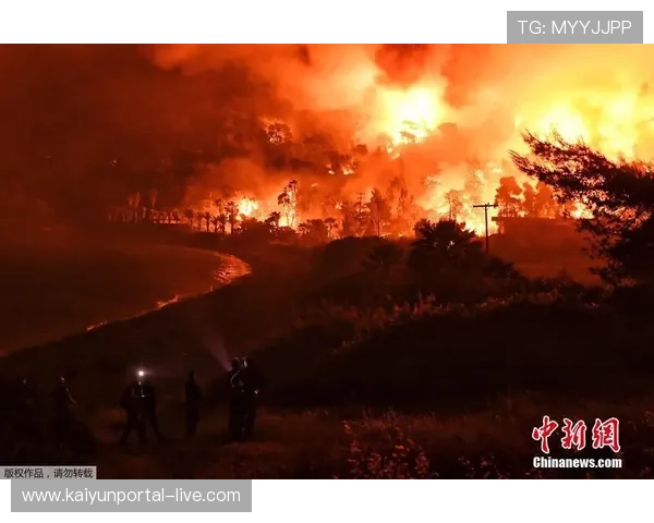 开云体育内部波胆交流群怎么进避坑指南平台对比防骗 开云体育内部波胆交流群怎么进避坑指南平台对比防骗